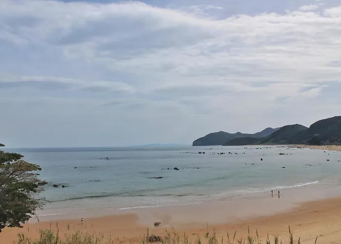 Canas - 6018 Apartment